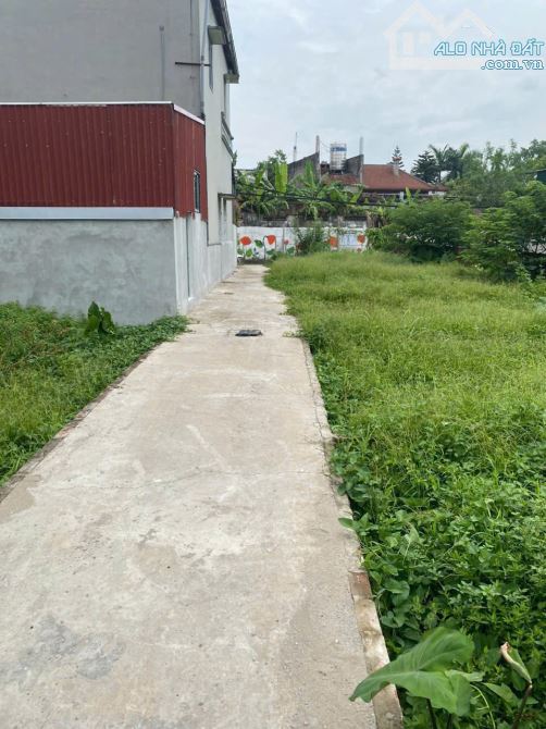 BÁN ĐẤT ĐỨC THƯỢNG - HOÀI ĐỨC- 46m2 - XUNG QUANH ĐẦY ĐỦ TIỆN ÍCH - 1