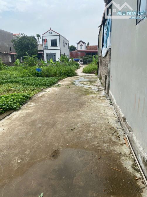 Bán đất Tam Thuấn - Phúc Thọ - Hà Nội – 67m² – Ô tô vào đất – Giá chỉ hơn 40 triệu/m² - 1
