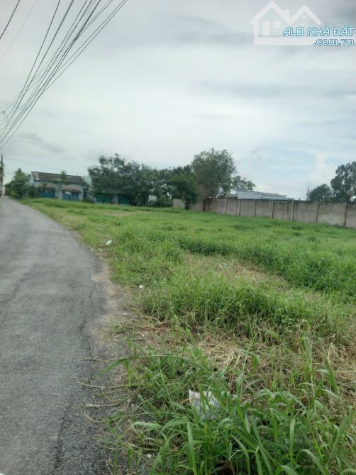 bán (44x24) Đất 2 mặt tiền nhựa Cộng Lạc – Bình Đông, TP Gò Công,Tiền Giang giá 2 triệu m2 - 1