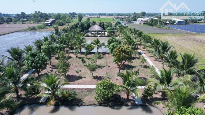 Nhà vườn 5.800m bán sỉ 11 tỷ. Ao cá + vườn cây + mặt tiền kinh doanh - 1