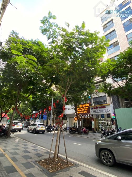 Tìm nhà đầu tư CHDV cao cấp - Vị trí gần chợ Bến Thành, DT 7.5x25m, nở hậu. Giá chỉ 68 tỷ - 1