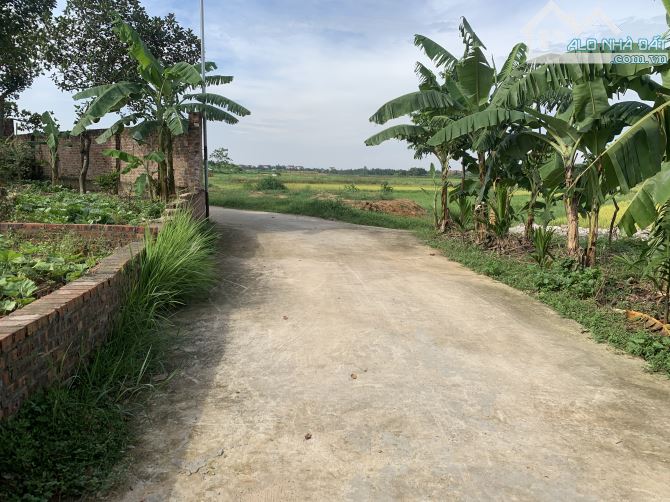 BÁN ĐẤT -TÂN MINH-( SÓC SÓC )- 80M2 -2,15Tỷ-FULL THỔ CƯ - 1
