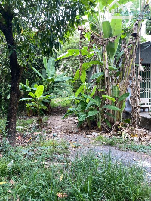 800 triệu Bán đất Cao Lãnh Đồng Tháp 180m2, thổ 100m2 - 1