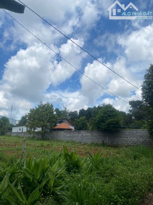 “Bán đất trục lộ 4 Buôn Ky – 5x40m TC 100% – đường 8m – giá 1,4 tỷ” - 1