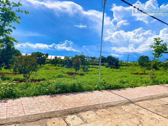 Chủ Kẹt Tiền bán gấp lô đất gần Sân Bay Liên Khương Đà Lạt - Sổ Riêng, Chỉ 4,6 Triệu/m² - 1