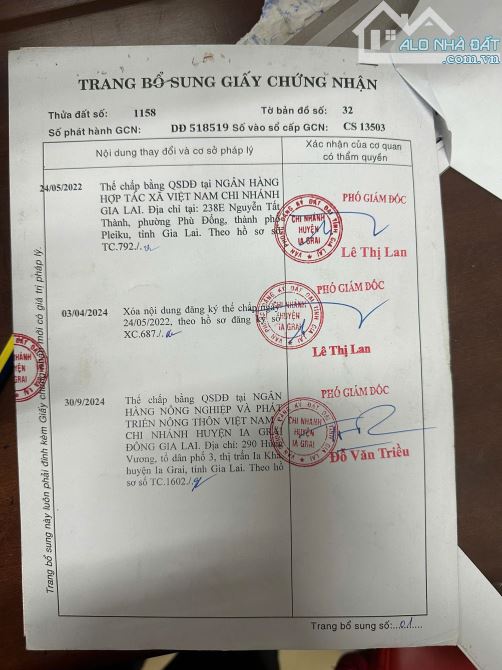 Bán Đất hai mặt tiền đồi thông - 1