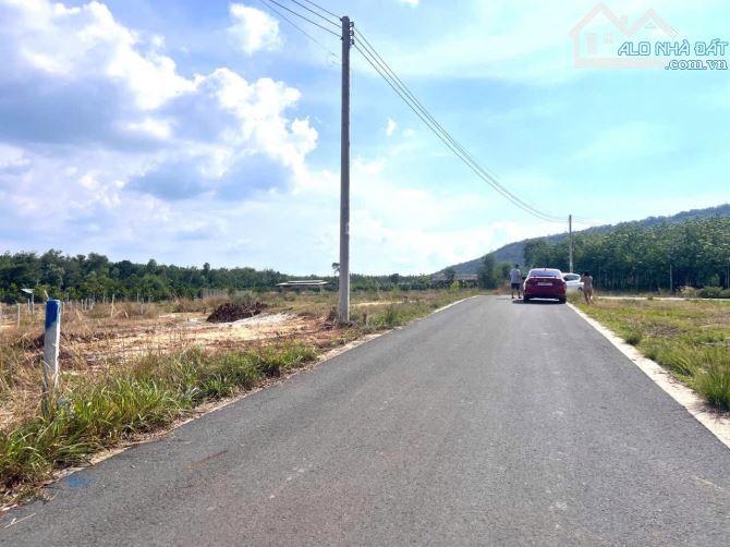 Bán gấp lô đất Đồng Nai  để trả nợ 250m2 có sẵn 100 thổ giá 220 triệu - 1