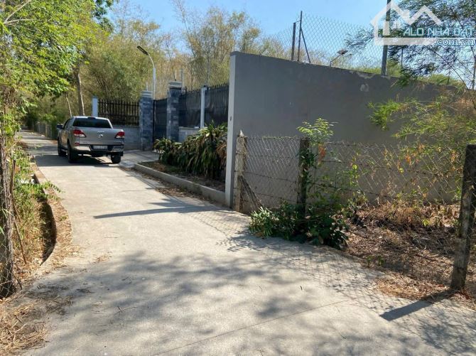 SIÊU RẺ! Bán  250m2 Đất Nhánh Đx91 Hiệp An, Thủ Dầu Một_Giá1Tỷ850 - 2