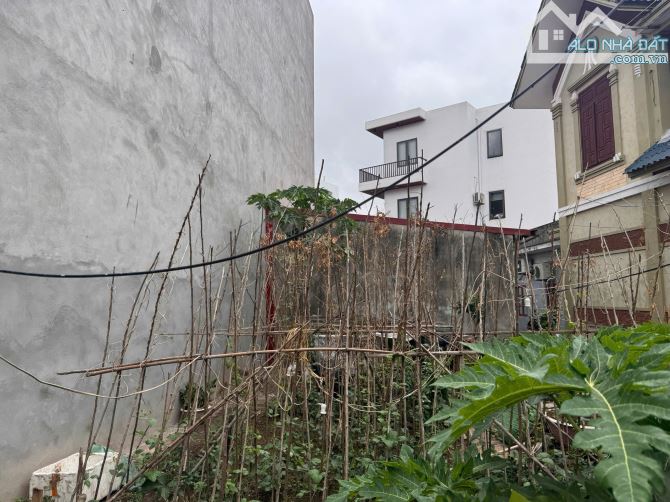 Bán đất tặng nhà độc lập đường Hạ Lũng Chợ Lũng. Vị trí đẹp - 2