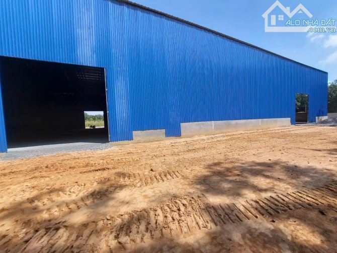 Cho Thuê 5.000m2 - 14.333m² Nhà Xưởng Mới 100% Tân Uyên Bình Dương - 2