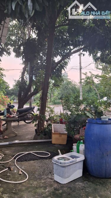 141m1 5x28m Đất Full Thổ Nguyễn Văn Tạo Cạnh Trường Lái Xe Thành Công Giảm sát đáy 4.6 Tỷ - 2