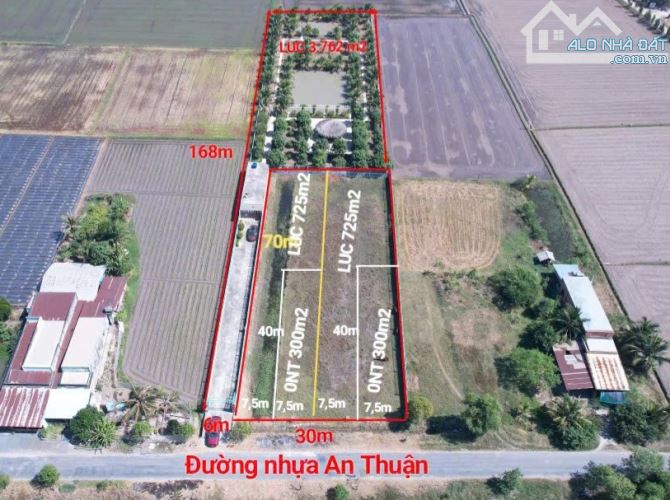 Nhà vườn 5.800m bán sỉ 11 tỷ. Ao cá + vườn cây + mặt tiền kinh doanh - 2