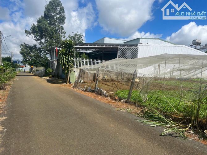Bán đất 213m2 hẻm 137 Nguyễn Tri Phương, p Lộc tiến Tp Bảo Lộc - 2