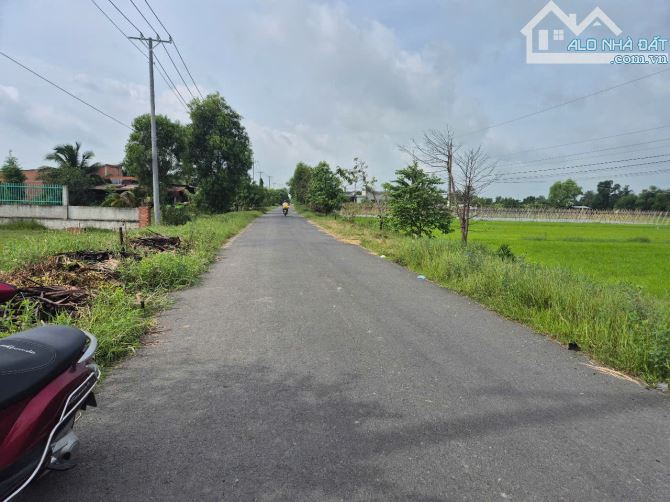 Bán đất 15x70m, gần đường Hồ Chí Minh, Xã An Ninh Đông, Đức Hòa, Long An. Giá 3 tỷ - 3