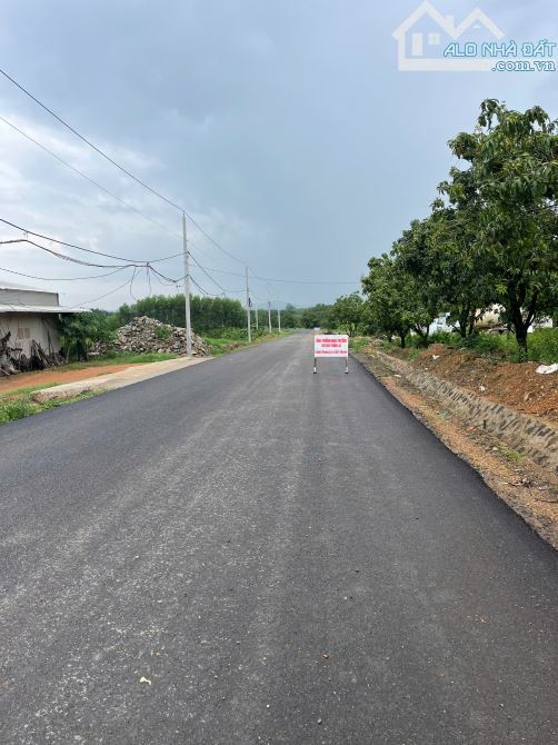 17m mặt tiền đường nhựa,hơn 1000m2 thích hợp lam nhà nghĩ dưỡng chỉ vơi giá 999 tr - 3
