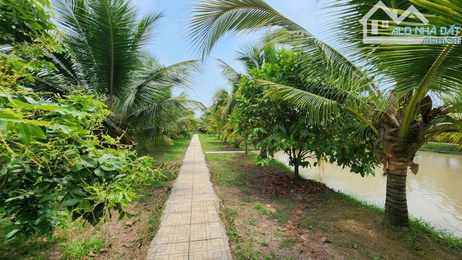 Nhà vườn 5.800m bán sỉ 11 tỷ. Ao cá + vườn cây + mặt tiền kinh doanh - 3