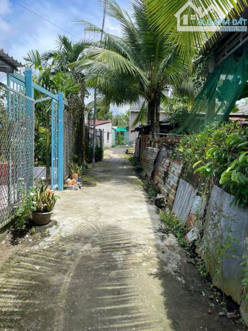 HẬU GIANG-GẦN 2000M2 NHÀ VƯỜN,KDC SAN SÁT, GẦN CHỢ, TRƯỜNG HỌC VÀ MỌI TIỆN ÍCH - 3