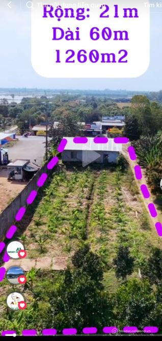 Bán gấp đất nền 1200m2 tại Đường N2, Mỹ Đông, Tháp Mười, Đồng Tháp - 3
