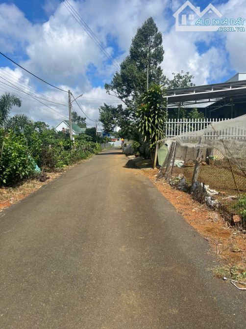 Bán đất 213m2 hẻm 137 Nguyễn Tri Phương, p Lộc tiến Tp Bảo Lộc - 3