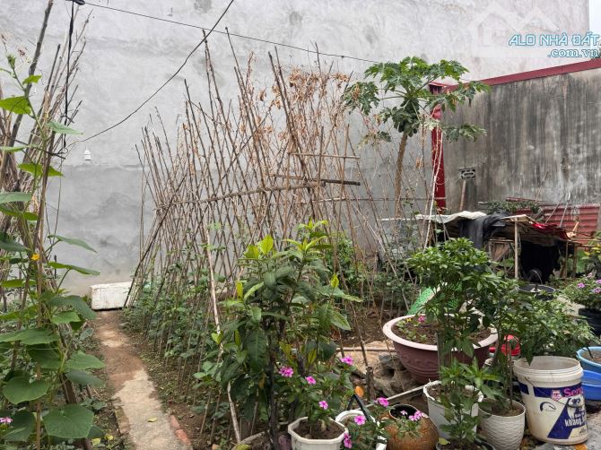 Bán đất tặng nhà độc lập đường Hạ Lũng Chợ Lũng. Vị trí đẹp - 5