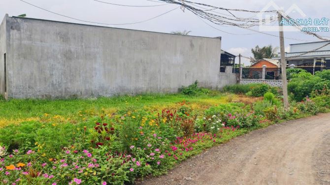 10x20 giá 1.25 tỷ (bao rẻ nhất quanh khu vực) xem là chốt liền ạ. Cực rẻ bao đẹp - 5