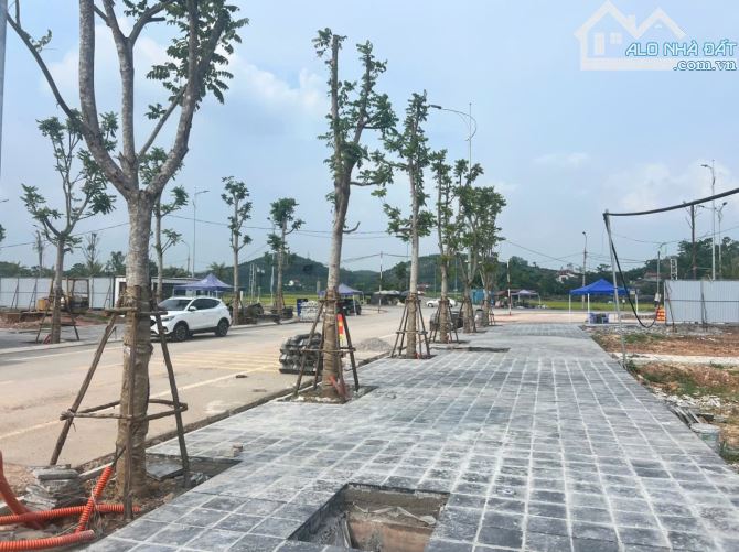 BÁN ĐẤT NỀN DỰ ÁN HAWEE PARKLAND CAO THƯỢNG, TÂN YÊN, BẮC GIANG - 96M2 - 2,3 TỶ - 5