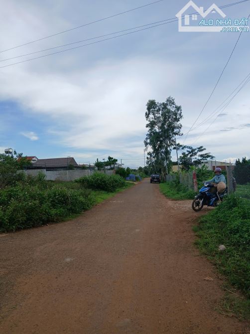 Bán Đất hai mặt tiền đồi thông - 5
