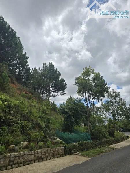 :🌿CẦN BÁN VILLA NGHỈ DƯỠNG ĐỘC NHẤT KHU ĐỒI NGÔ QUYỀN – PHƯỜNG 6, ĐÀ LẠT 🌿 - 5