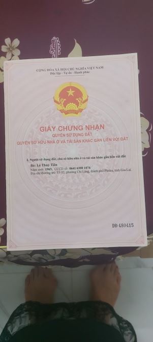 Bán Nhà hẻm Trường Chinh phường Trà Bá tp Pleiku Gia Lai - 8