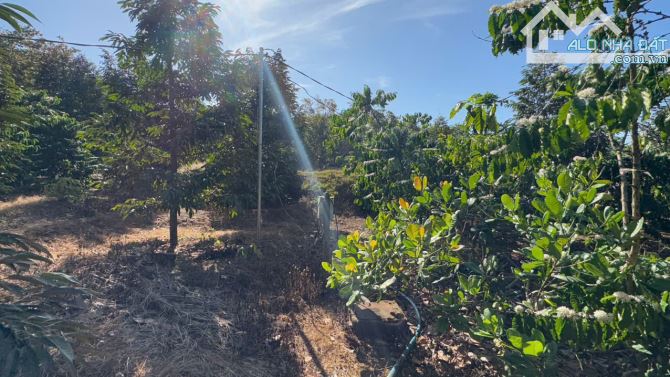 BÁN GẤP 3,6 HA ĐẤT CLN – ĐỨC LIỄU, BÙ ĐĂNG, BÌNH PHƯỚC – GIÁ CHỈ 10 TỶ TL - 9