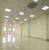Cho thuê mặt bằng 310m2 mặt tiền Nguyễn Văn Linh ngang 13m. Sát cầu Rồng