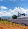 Chủ bán 505m2 ngay gần chợ Thăng Long. MT 14m, sẵn 100m2 thổ cư. View toàn Thị Trấn