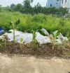 Bán đất Tam Thuấn - Phúc Thọ - Hà Nội – 67m² – Ô tô vào đất – Giá chỉ hơn 40 triệu/m²