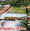 Bán gấp đất nền 1200m2 tại Đường N2, Mỹ Đông, Tháp Mười, Đồng Tháp