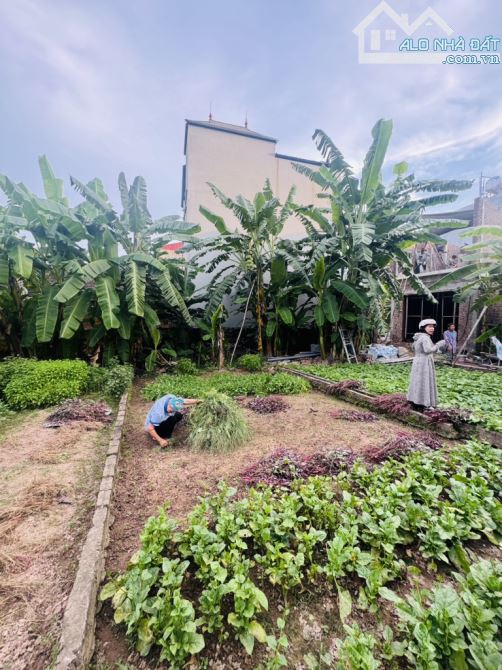 Giá Đầu Tư,Gần Trường,Chợ.Bán đất Dương Quang-Gia Lâm,DT 70m2,Giá 3.2tỷ. - 1