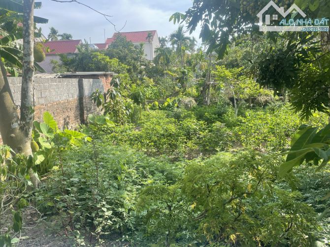 BÁN GẤP LÔ ĐẤT 65M² – GẦN NỘI THÀNH, SÂN BAY – CỰC ĐẸP, CỰC RẺ!