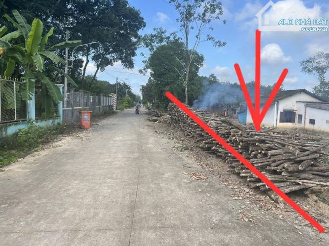 BÁN ĐẤT THỔ CƯ MT ĐƯỜNG THUẬN TIỆN LÀM KHO XƯỞNG NHÀ VƯỜN GIÁ RẺ