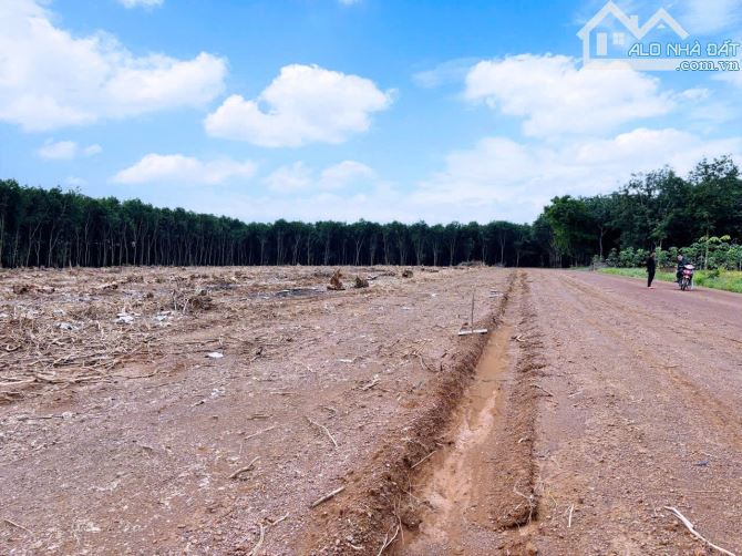 Ngay khu công nghiệp Đồng Tiến 4200ha chỉ có 199 triệu