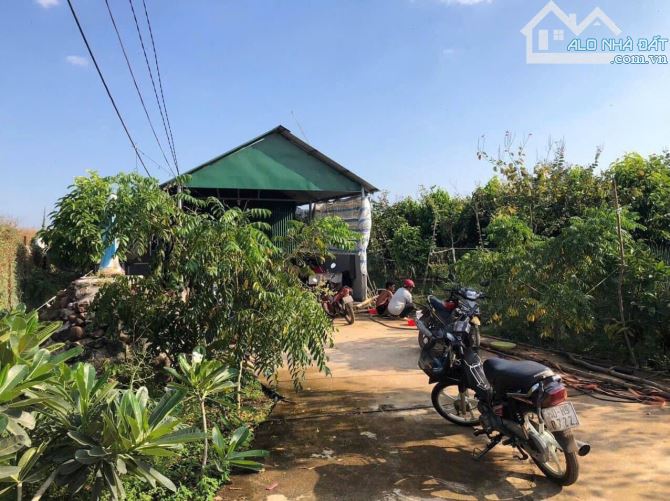 D090 🏚️ Cần bán gấp nhà vườn  Diện tích : 11.000m2 quy hoạch đất ở tại nông thôn  💫 vị t
