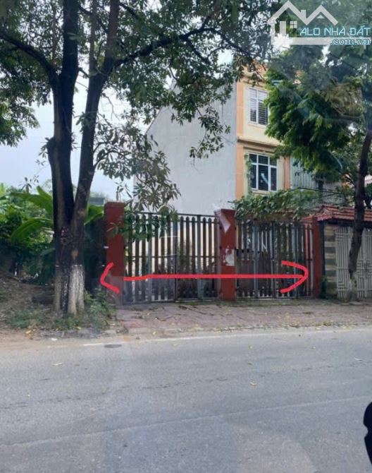 🔥BÁN GẤP LÔ ĐẤT TRỤC CHÍNH KINH DOANH TÔ HIẾN THÀNH CÁCH VIỆN 109 CHỈ 500M 203.2M MT7,5m