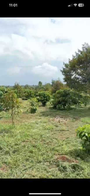Bán 1.9ha đất đỏ bazan tại xã Ea Hding huyện Cư Mgar