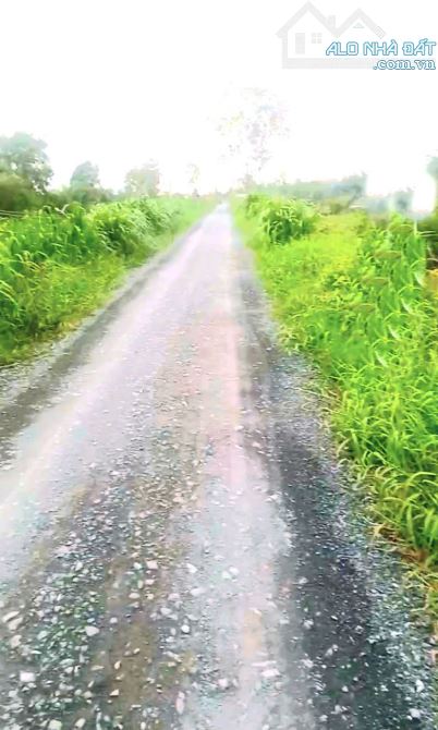 600tr có 1.000m2  đất 2 mặt tiền đường huyện 99B – Sông Vàm Cỏ, TP Gò Công, Tiền Giang.