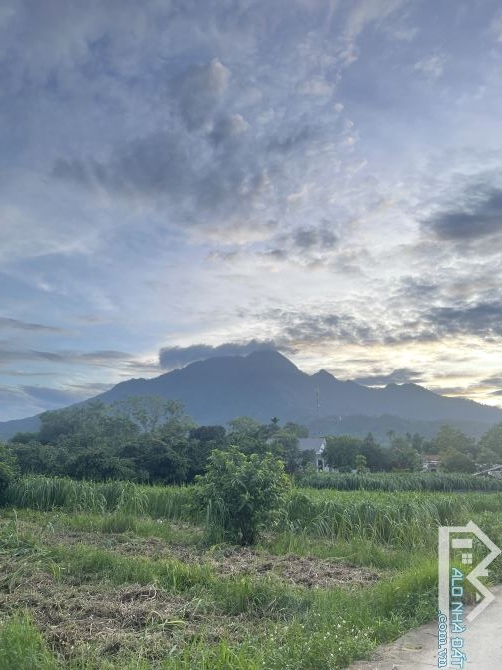 Bán Gấp Đất Vân Hoà, Ba Vì Tổng Diện Tích 5 Sào Giá Chỉ 1,5 Tỷ View Cánh Đồng Núi Như Hình