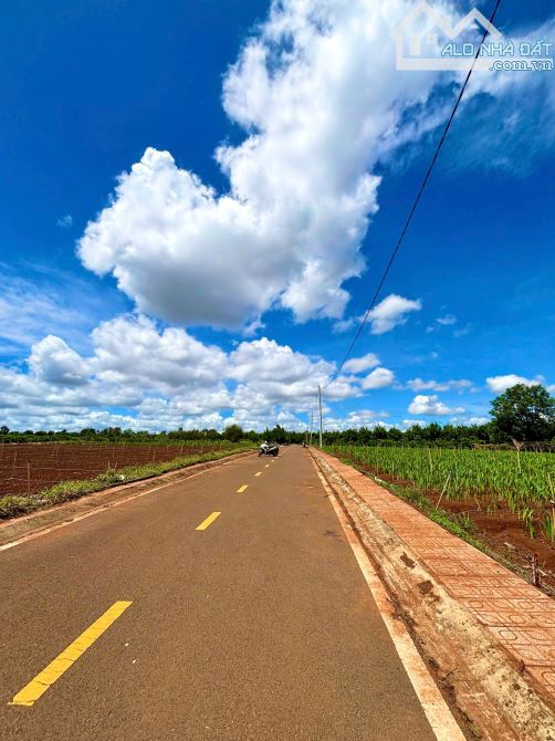Chủ Kẹt Tiền bán gấp lô đất gần Sân Bay Liên Khương Đà Lạt - Sổ Riêng, Giá Chưa Tới 1 TỶ