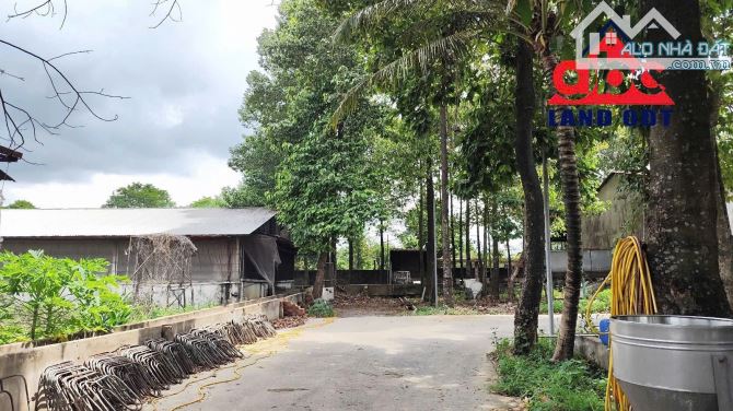 X081 Bán trang trại 3ha thích hợp chuyển đổi làm kho chứa hàng, Bình Minh, Trảng Bom giá