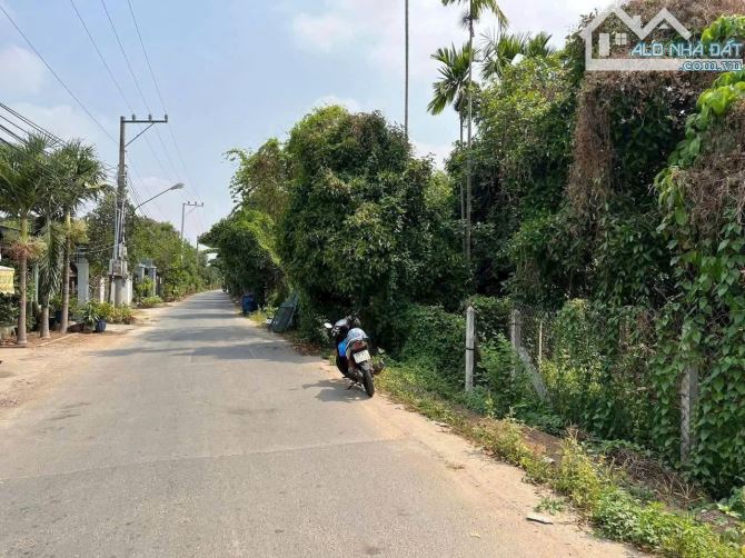 Bán đất mặt tiền An Sơn 01 cách sông Sài Gòn chỉ 180m