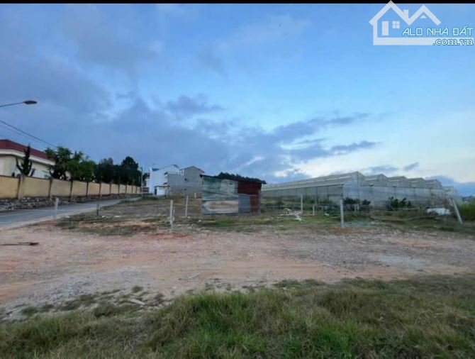 BÁN ĐẤT KQH BỆNH VIỆN NHI – PHƯỜNG 7, ĐÀ LẠT – 115M², ĐƯỜNG 8M, GIÁ 5,3 TỶ