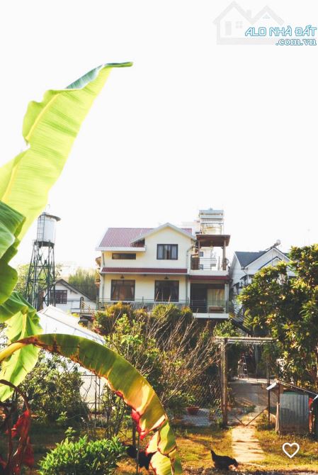 Bán đất tặng homestay sân vườn view thông mặt tiền Triệu Việt Vương P3 Đà Lạt 1135m2 35tỷ