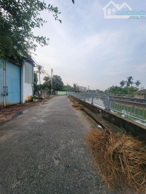 Bán đất full thổ cư đường An Phú Đông 9 phường An Phú Đông quận 12 - 1