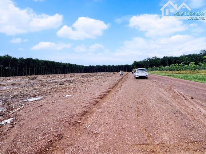 Ngay khu công nghiệp Đồng Tiến 4200ha chỉ có 199 triệu - 1